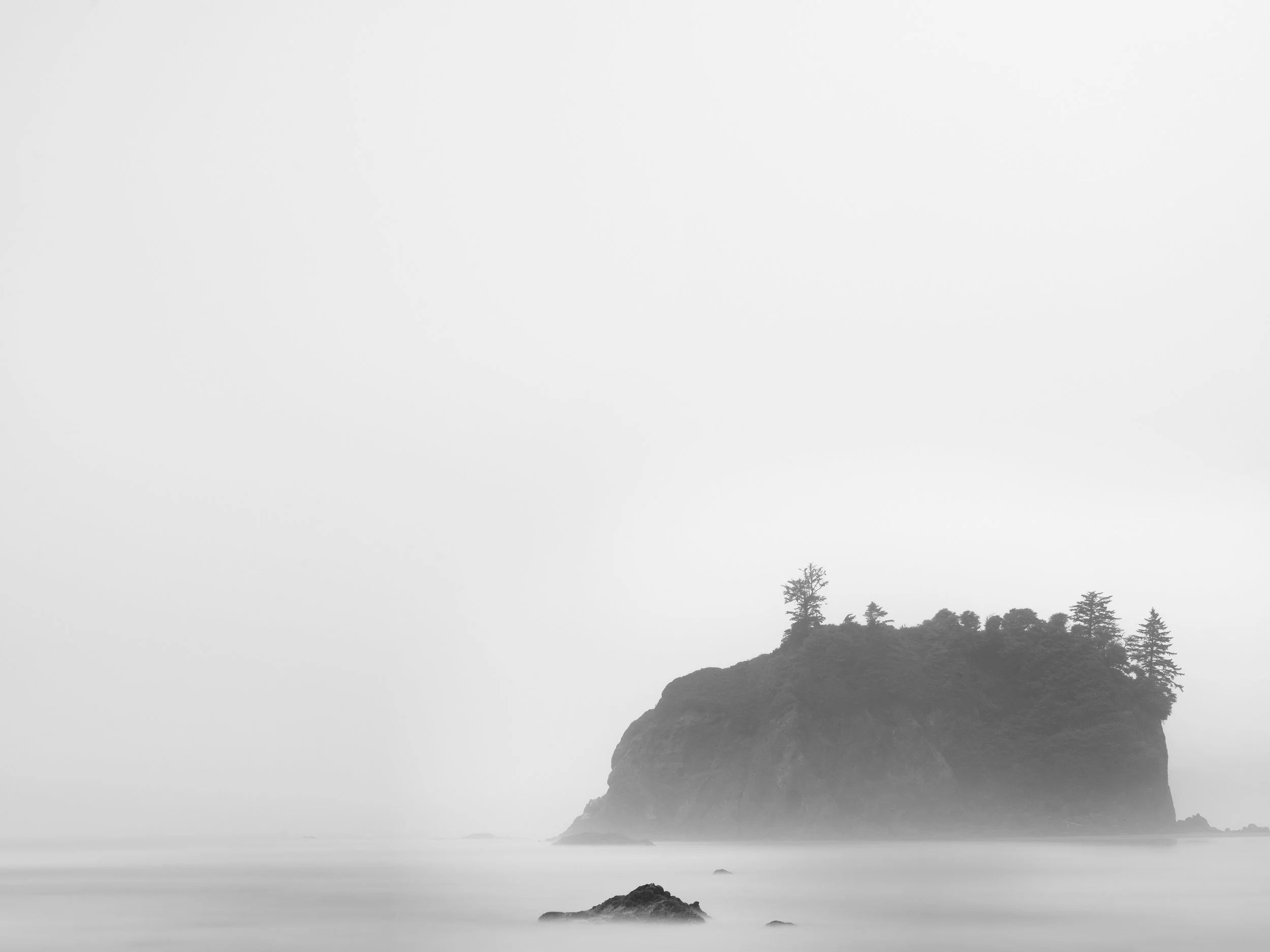 Ruby Beach in the Mist