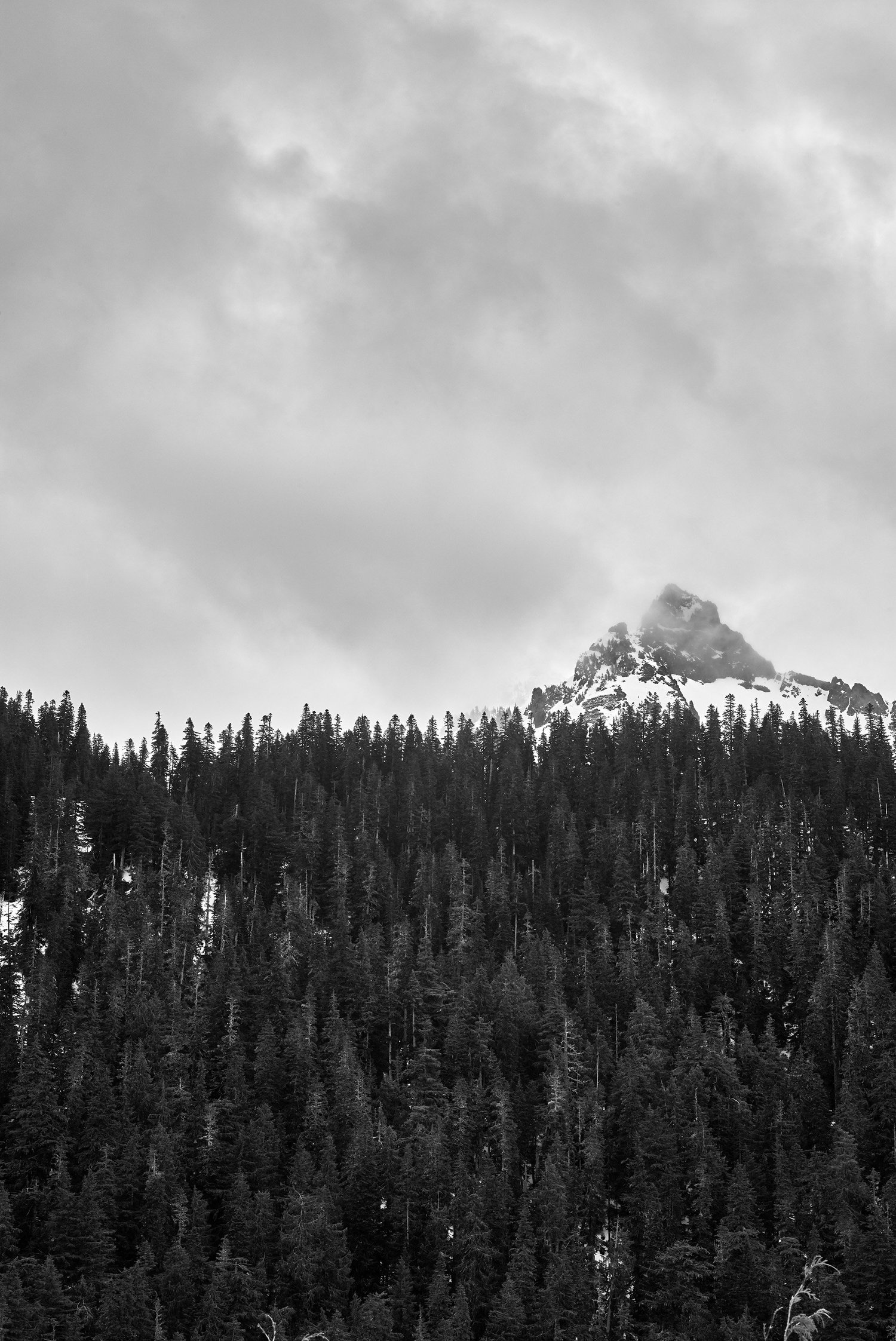 Hidden Peak - Mt Rainier