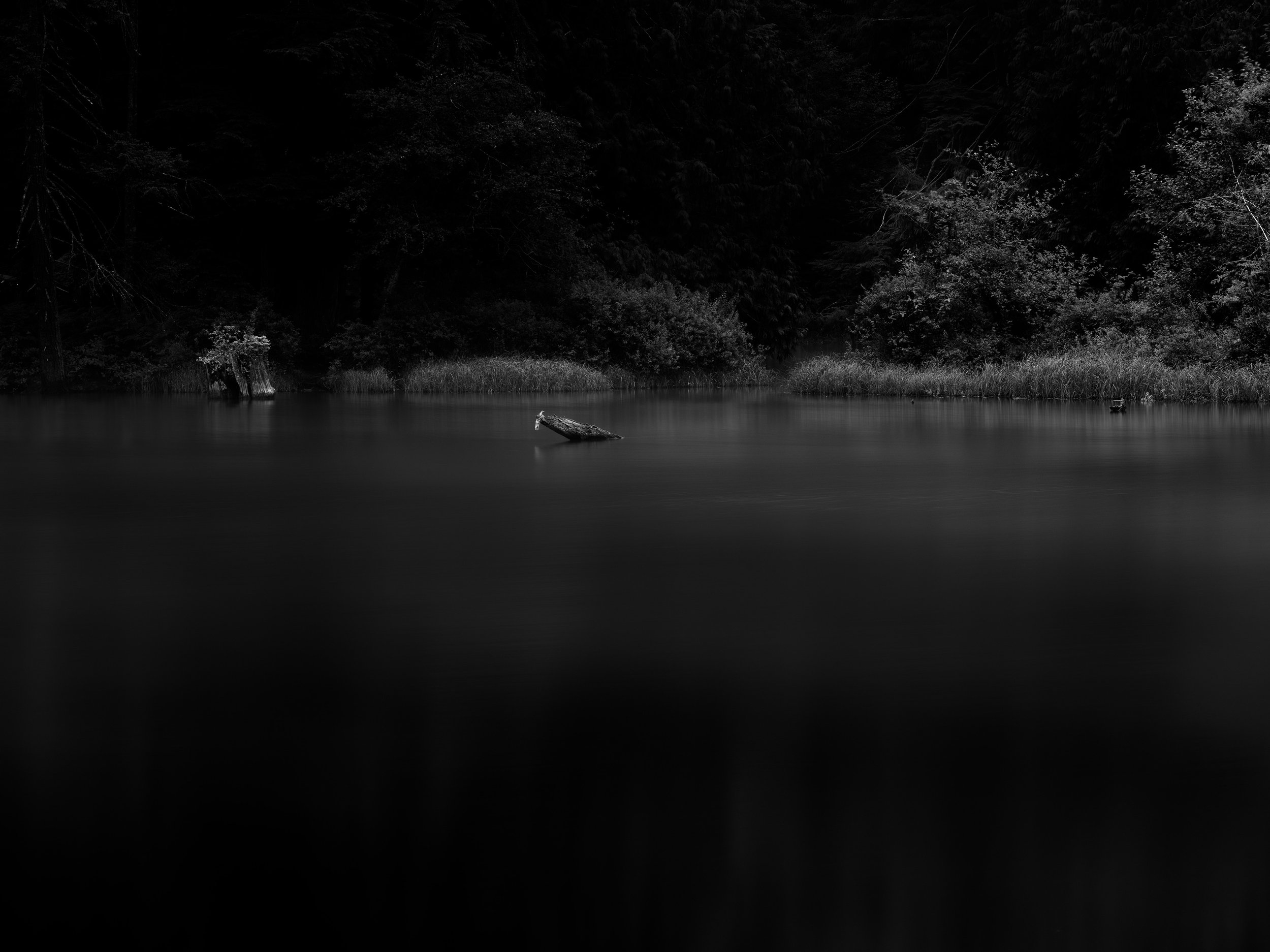 Lakeside Illuminated